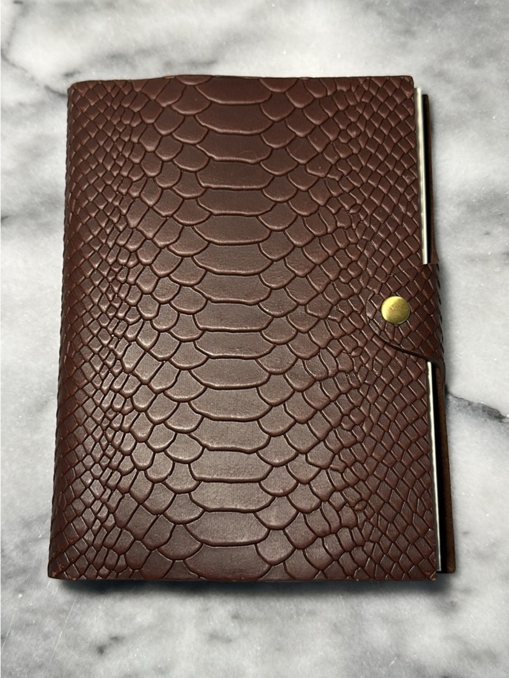 Dooney & Bourke Python embossed leather journal